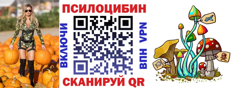 Купить где  Невельск  Псилоцибиновые грибы мицелий 